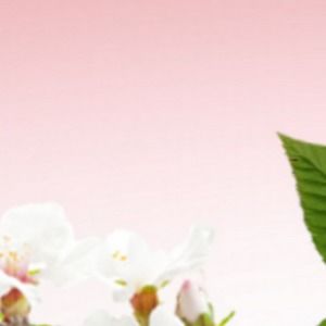 Meet your Posher, Aisha